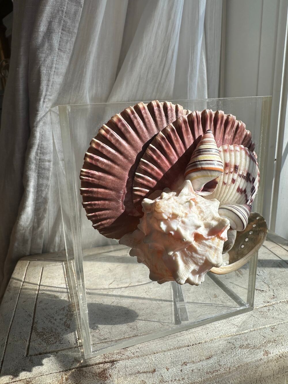 Clear Acrylic Tissue Box Cover Holder Sea Shells vintage 6” marine nautical